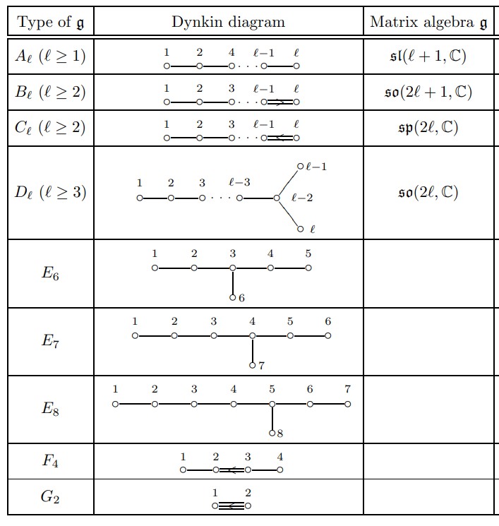 Dynkin Diagram